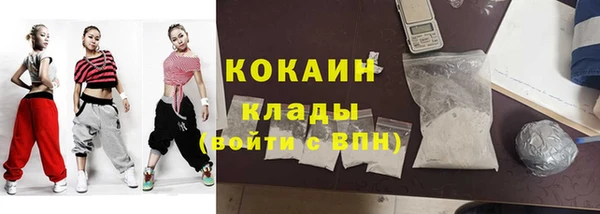 дживик Алексин