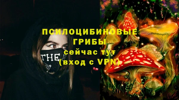 дживик Алексин